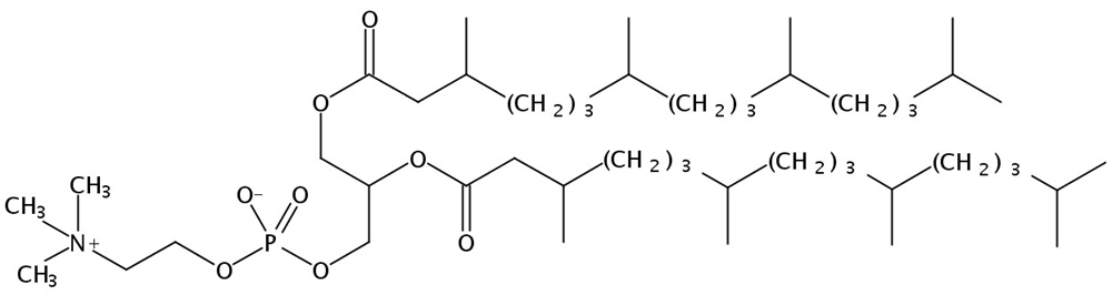 Picture of 1,2-Diphytanoyl-sn-Glycero-3-Phosphatidylcholine, 25mg