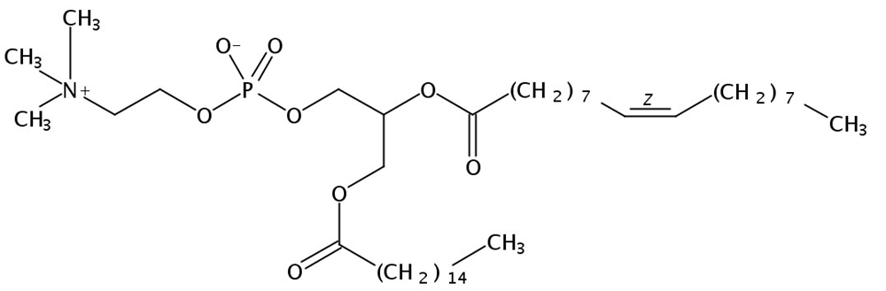 Picture of 1-Palmitoyl-2-Oleoyl-sn-Glycero-3-Phosphatidylcholine
