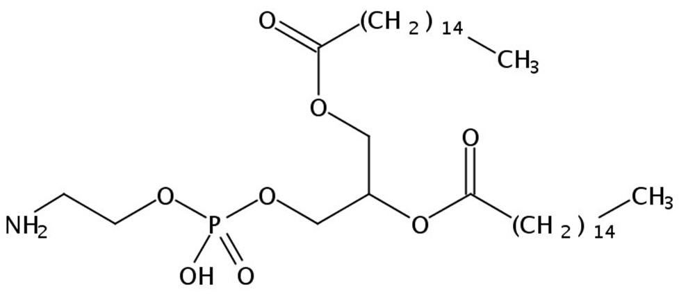 Picture of 1,2-Dipalmitoyl-sn-Glycero-3-Phosphatidylethanolamine