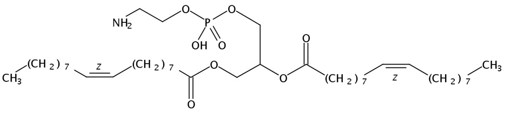 Picture of 1,2-Dioleoyl-sn-Glycero-3-Phosphatidylethanolamine
