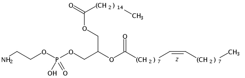 Picture of 1-Palmitoyl-2-Oleoyl-sn-Glycero-3-Phosphatidylethanolamine