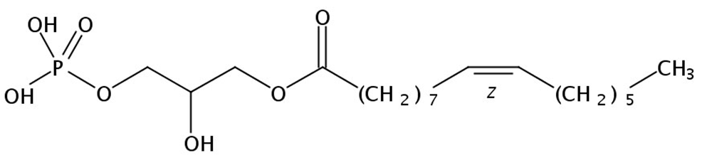 Picture of 1-Palmitoyl-2-Hydroxy-sn-Glycero-3-Phosphatidic acid Na salt, 25mg