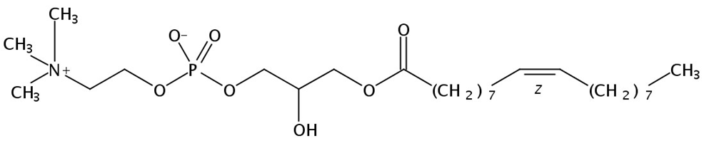 Picture of 1-Oleoyl-2-Hydroxy-sn-Glycero-3-Phosphatidylcholine, 25mg