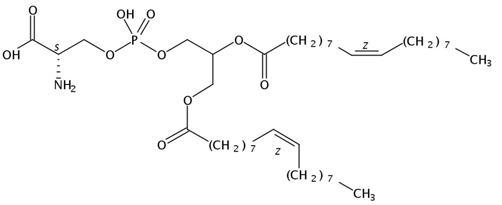 Picture of 1,2-Dioleoyl-sn-Glycero-3-Phosphatidylserine Na salt