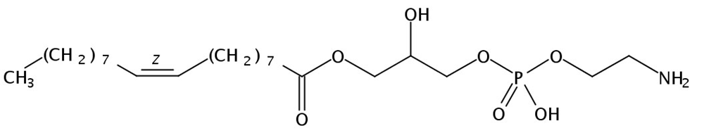 Picture of 1-Oleoyl-2-Hydroxy-sn-Glycero-3-Phosphatidylethanolamine, 500mg