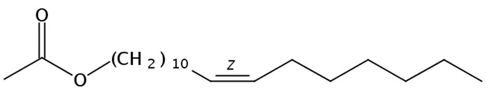 Picture of 11(Z)-Vaccenyl acetate, 100mg