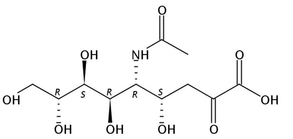 Picture of N-Acetyl-Neuraminic acid (Sialic acid)
