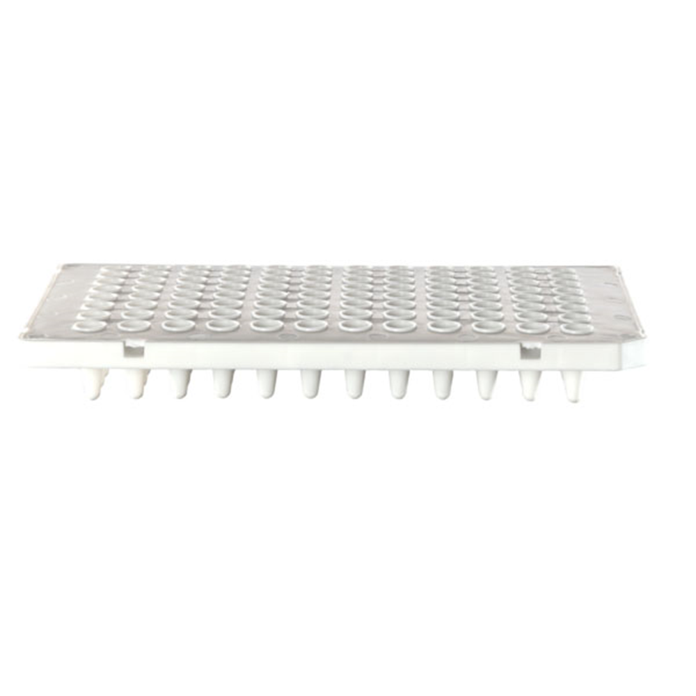 Picture of Appleton 0.1 semi skirted, low profile qPCR 96 well white plate