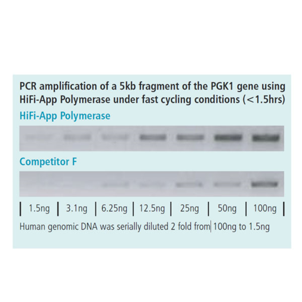 Picture of HiFi-App Polymerase, 200 units