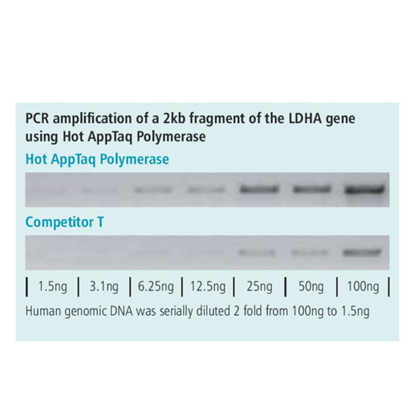 Hot AppTaq Polymerase, 250 units