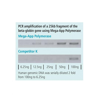Mega-App Polymerase, 250 units