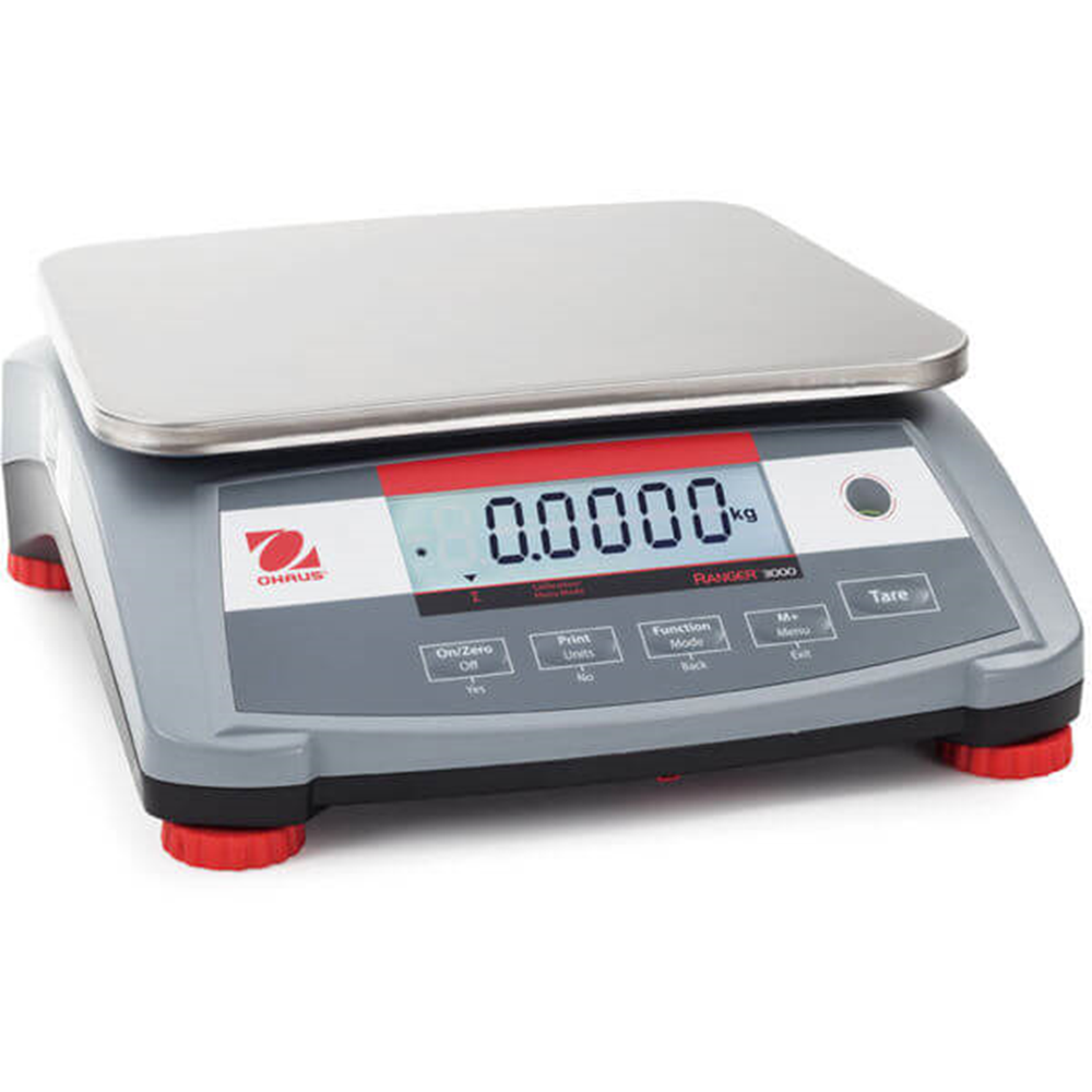 Picture of Compact Scale, R31P1502
