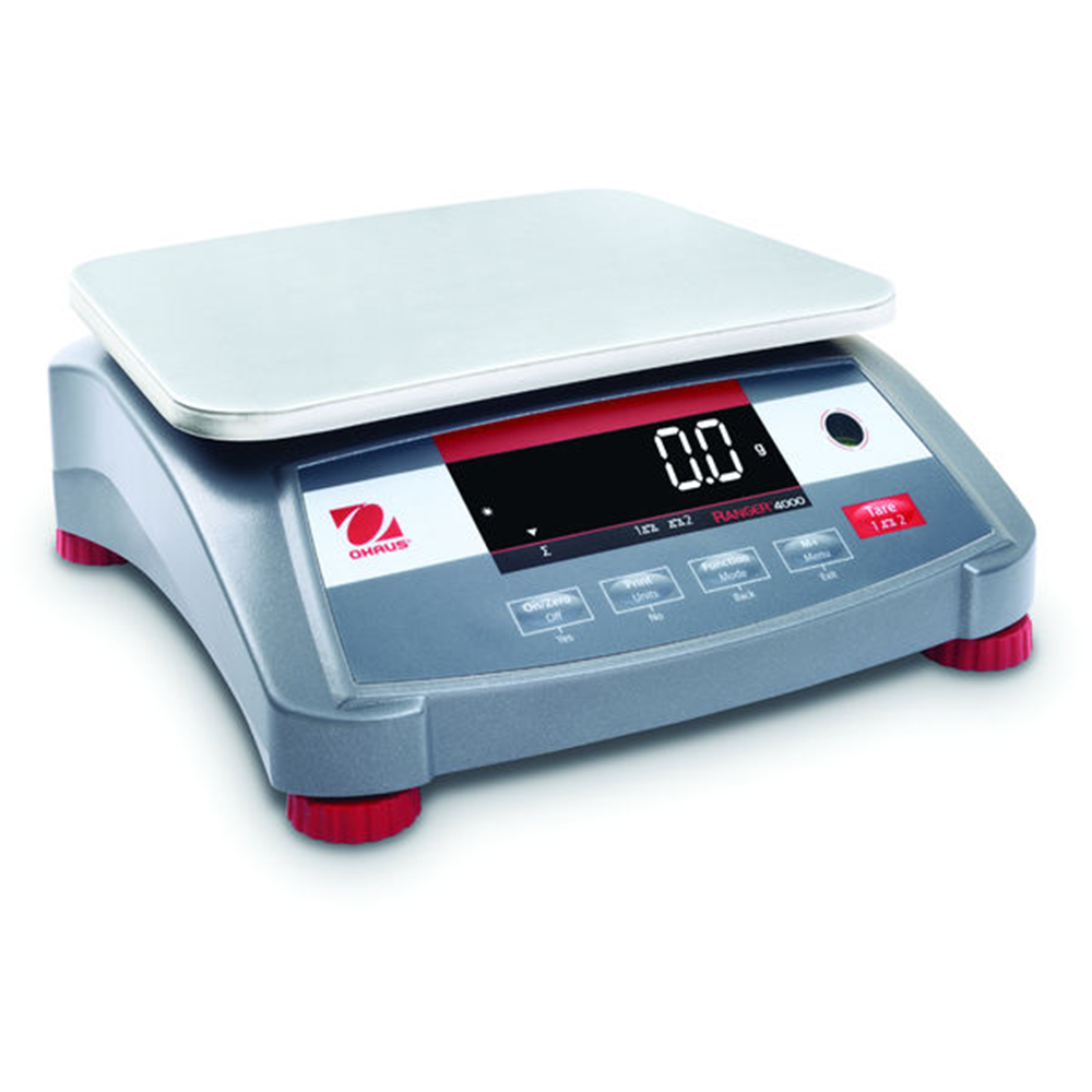 Picture of Compact Scale, R41ME30