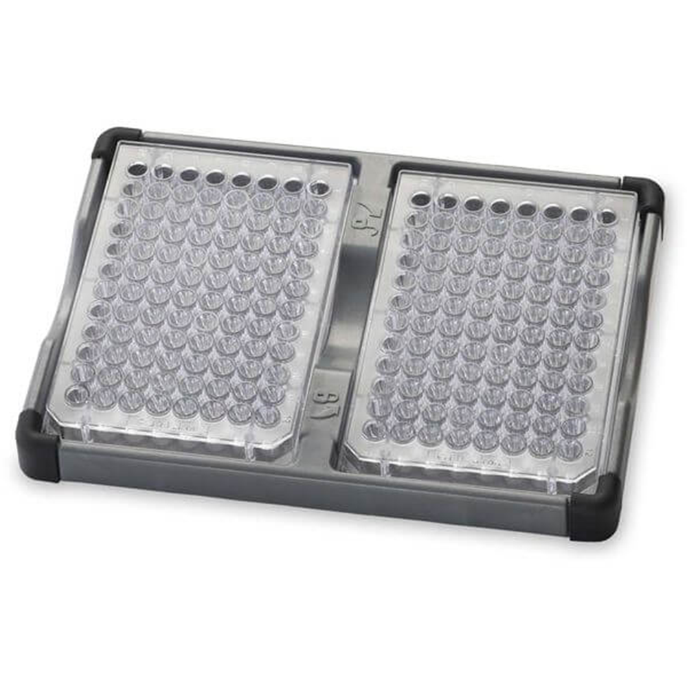 Picture of Double Microplate Holder